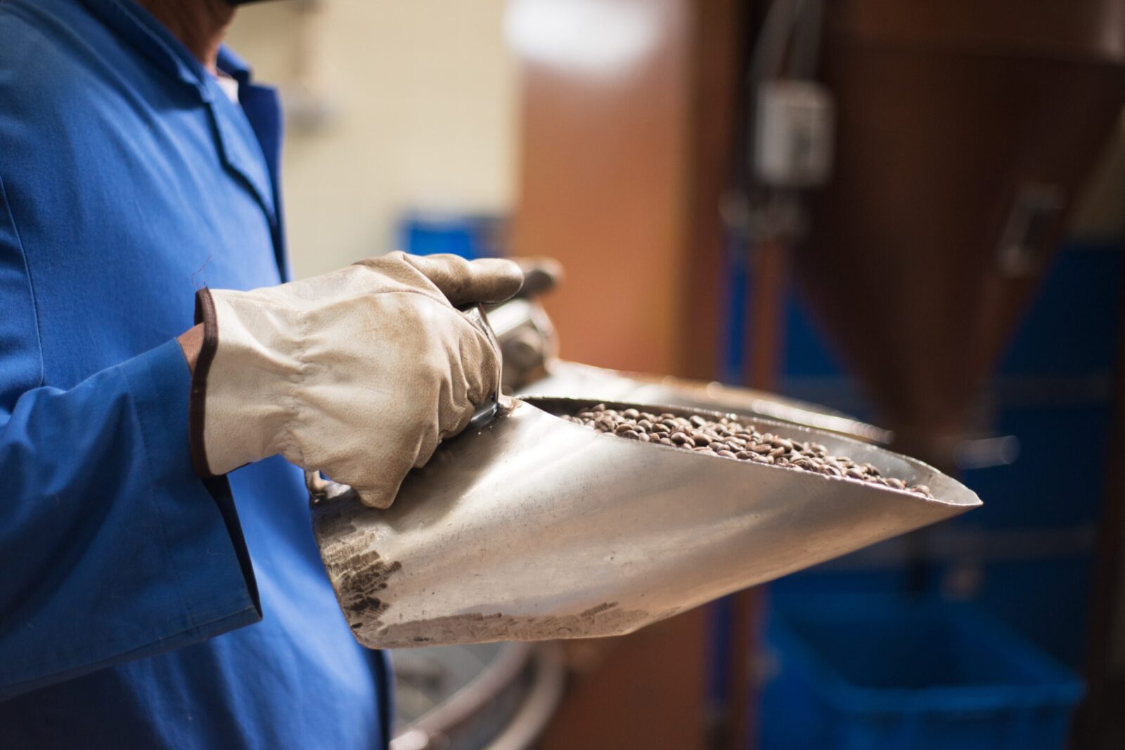 man-holding-roasted-coffee-beans-scoop-fresh-aromatic-coffee-ready-sale-workman-uniform-gloves